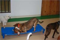 daycare pic 112 - play time